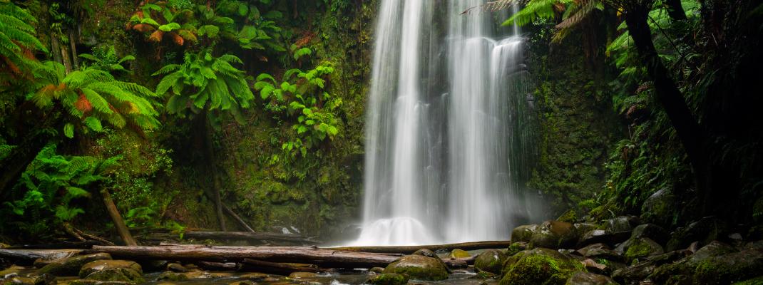 Beauchamp Falls Campground