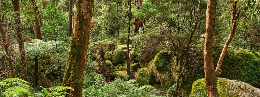 Kurth Kiln Regional Park