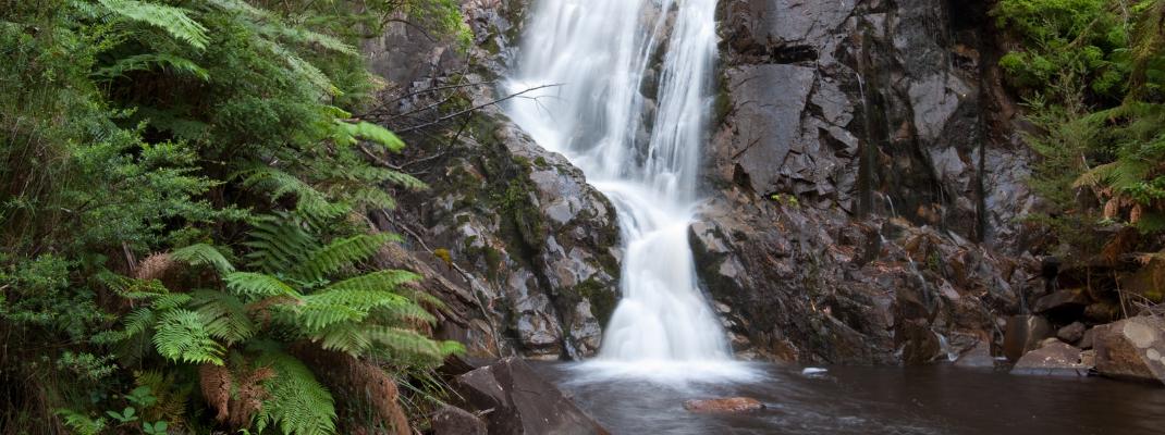 Stevensons Falls