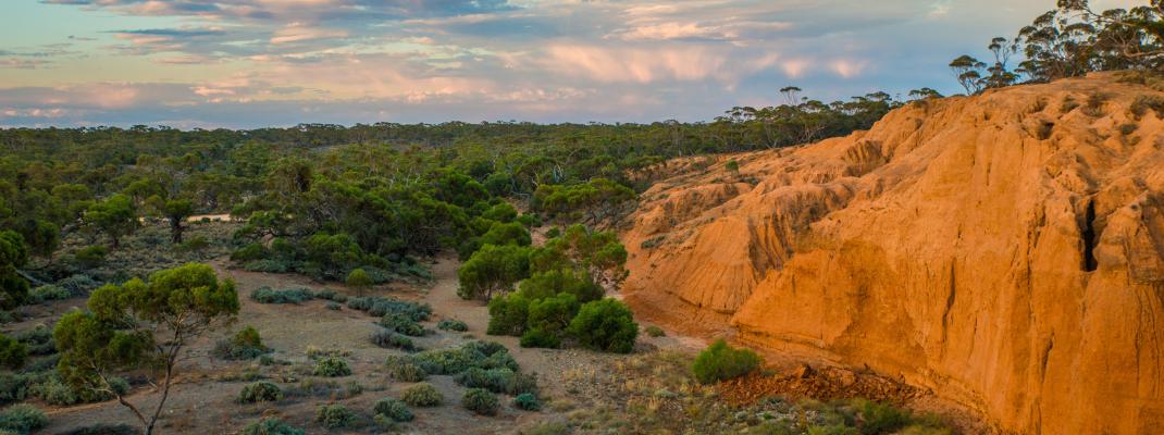 Red Banks Conservation Park