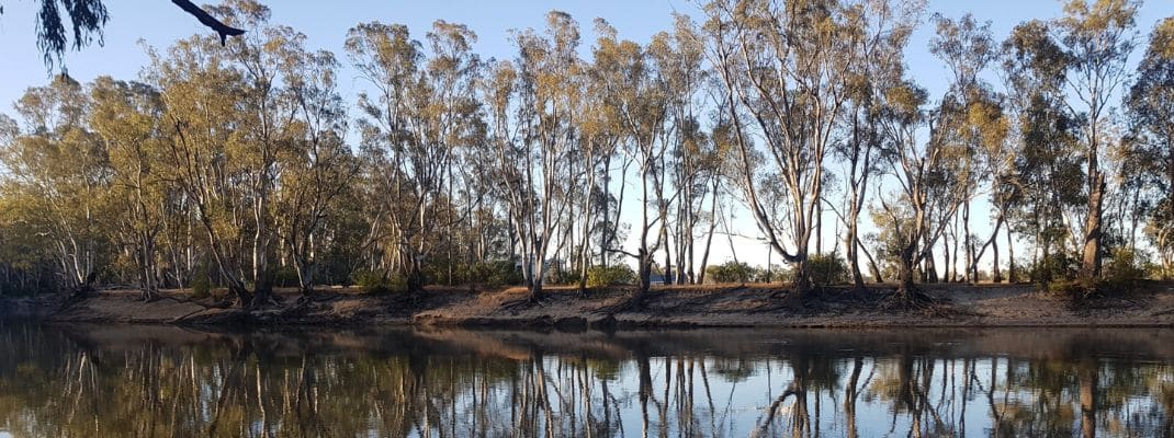 Cohuna Flora Park